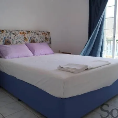 Elaia Mirtila 50m From Sea * Agios Dimitrios (Evia)