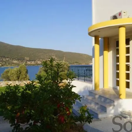 Elaia Mirtila 50m From Sea * Agios Dimitrios (Evia)