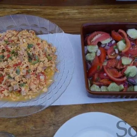 Vila Elaia Mirtila 50m From Sea Agios Dimitrios (Evia)