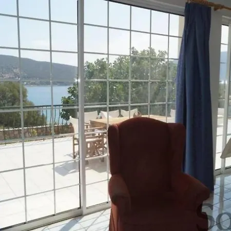 Elaia Mirtila 50m From Sea * Agios Dimitrios (Evia)