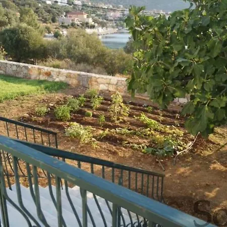 Elaia Mirtila 50m From Sea Vila *